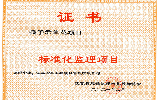 標(biāo)準(zhǔn)化監(jiān)理項目